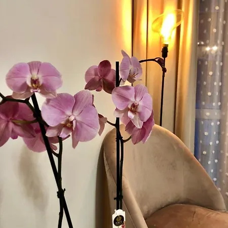 아파트 Old Town Romantic Apartment. Breslau-wroclaw. *