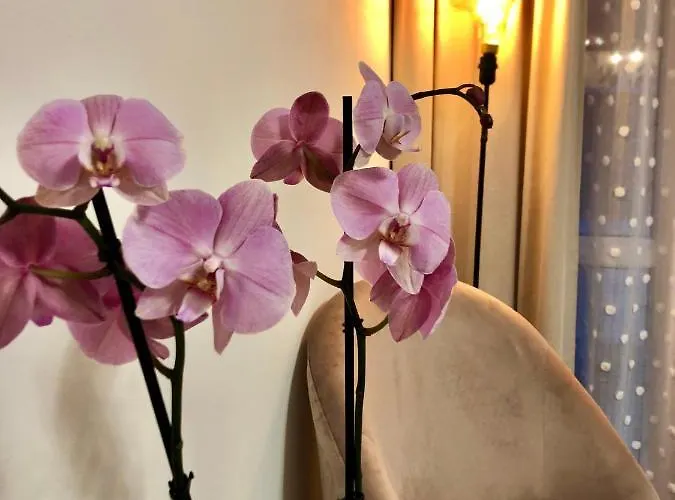 Apartamento Old Town Romantic Apartment. Breslau-wroclaw. *